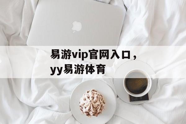 易游vip官网入口，yy易游体育